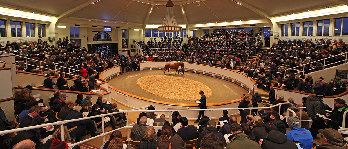 Tattersalls sales ring Tattersalls sales ring