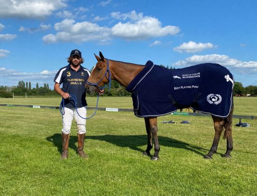 Retraining of Racehorses – Best Playing Pony Award