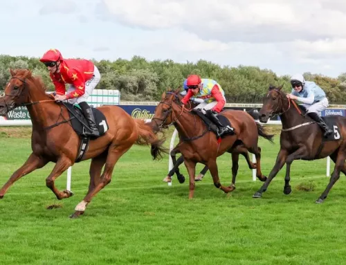 Wise Eagle adds another chapter to his incredible journey