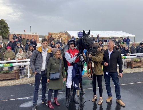 Minella Study wins the Wensleydale